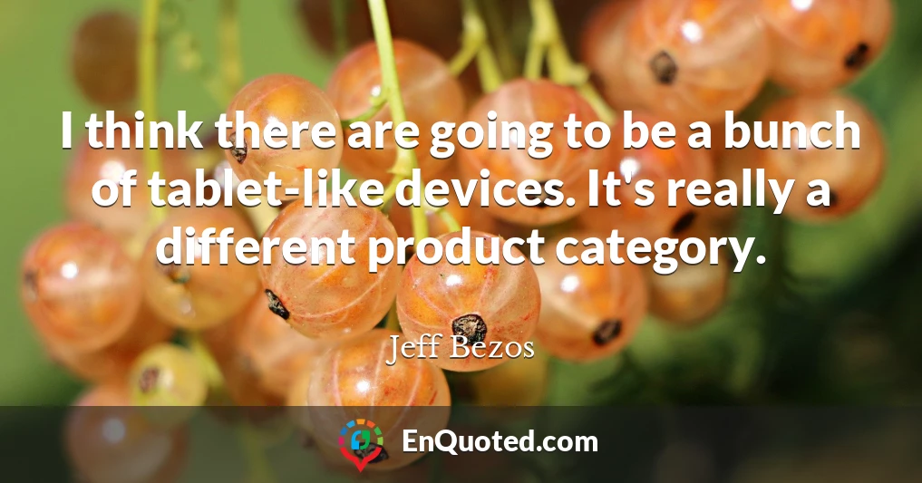 I think there are going to be a bunch of tablet-like devices. It's really a different product category.