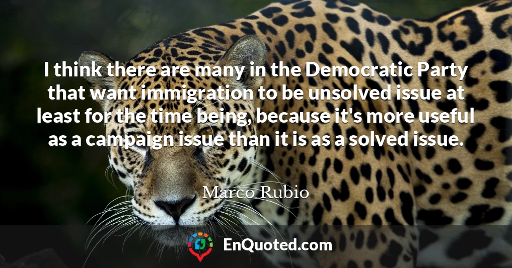 I think there are many in the Democratic Party that want immigration to be unsolved issue at least for the time being, because it's more useful as a campaign issue than it is as a solved issue.