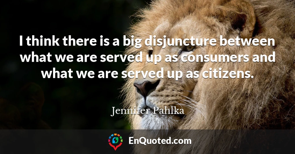 I think there is a big disjuncture between what we are served up as consumers and what we are served up as citizens.