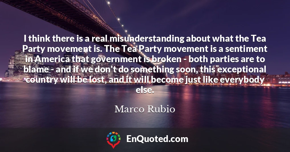I think there is a real misunderstanding about what the Tea Party movement is. The Tea Party movement is a sentiment in America that government is broken - both parties are to blame - and if we don't do something soon, this exceptional country will be lost, and it will become just like everybody else.