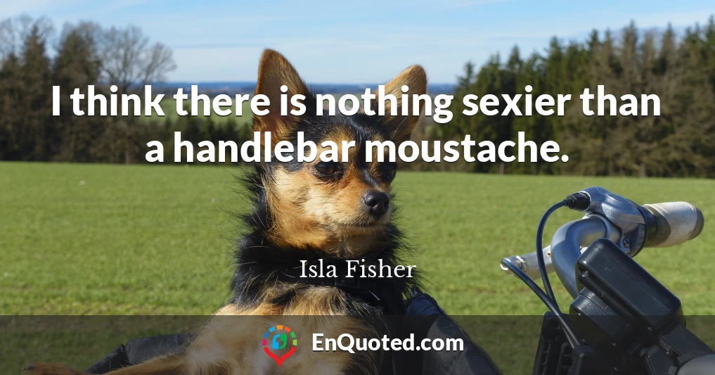 I think there is nothing sexier than a handlebar moustache.