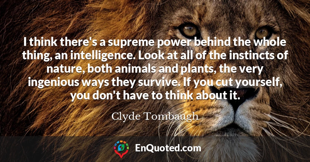 I think there's a supreme power behind the whole thing, an intelligence. Look at all of the instincts of nature, both animals and plants, the very ingenious ways they survive. If you cut yourself, you don't have to think about it.