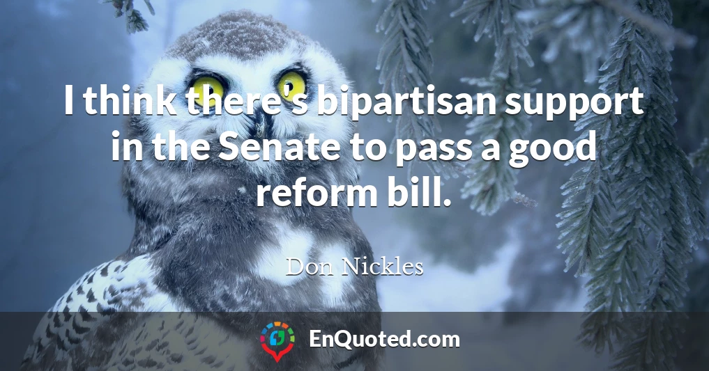 I think there's bipartisan support in the Senate to pass a good reform bill.
