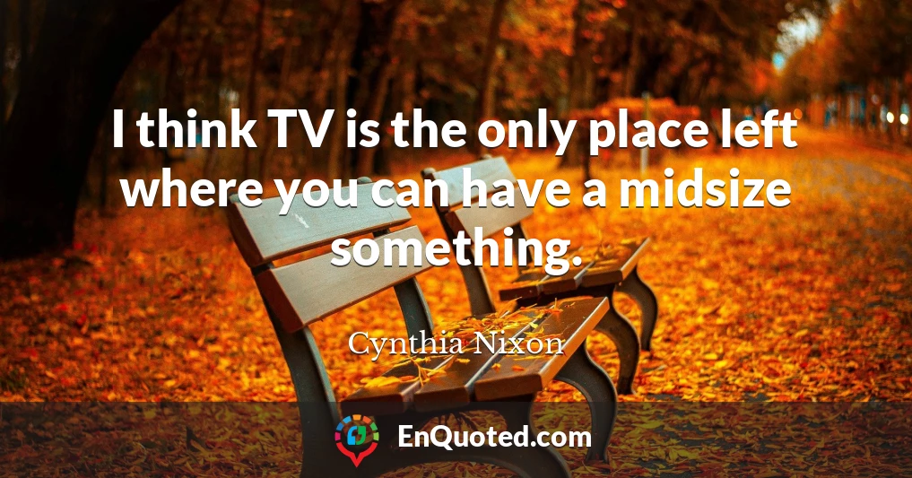 I think TV is the only place left where you can have a midsize something.