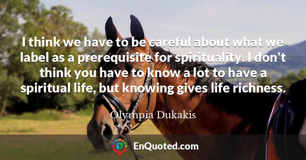 I think we have to be careful about what we label as a prerequisite for spirituality. I don't think you have to know a lot to have a spiritual life, but knowing gives life richness.