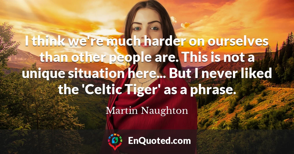 I think we're much harder on ourselves than other people are. This is not a unique situation here... But I never liked the 'Celtic Tiger' as a phrase.