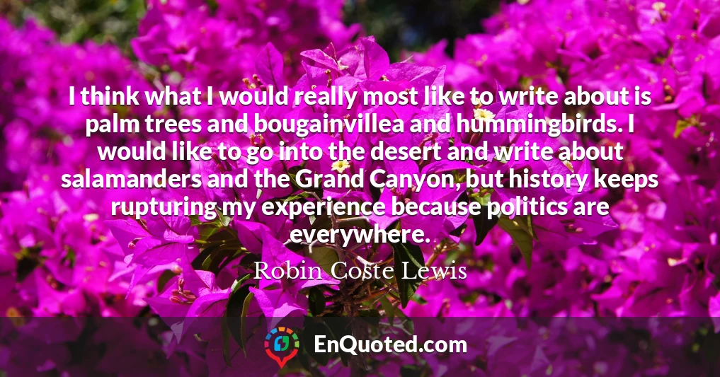 I think what I would really most like to write about is palm trees and bougainvillea and hummingbirds. I would like to go into the desert and write about salamanders and the Grand Canyon, but history keeps rupturing my experience because politics are everywhere.