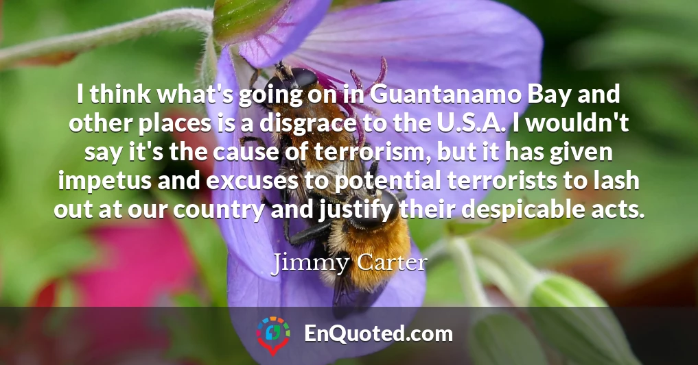 I think what's going on in Guantanamo Bay and other places is a disgrace to the U.S.A. I wouldn't say it's the cause of terrorism, but it has given impetus and excuses to potential terrorists to lash out at our country and justify their despicable acts.