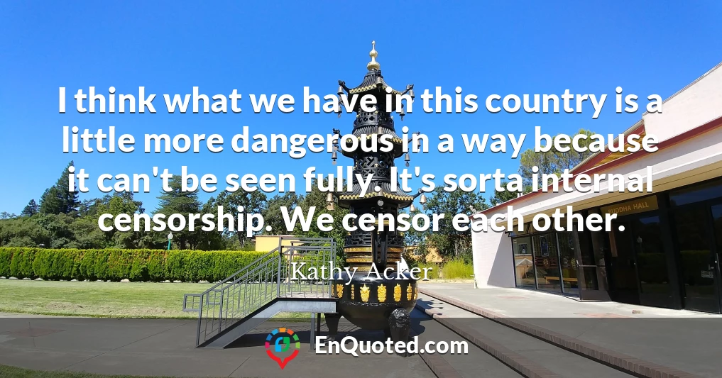 I think what we have in this country is a little more dangerous in a way because it can't be seen fully. It's sorta internal censorship. We censor each other.