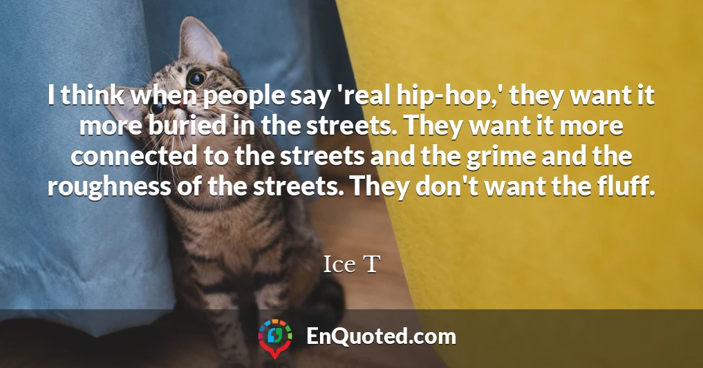 I think when people say 'real hip-hop,' they want it more buried in the streets. They want it more connected to the streets and the grime and the roughness of the streets. They don't want the fluff.