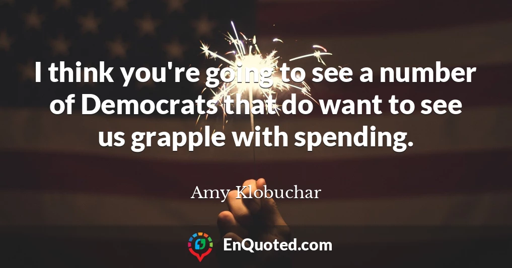 I think you're going to see a number of Democrats that do want to see us grapple with spending.