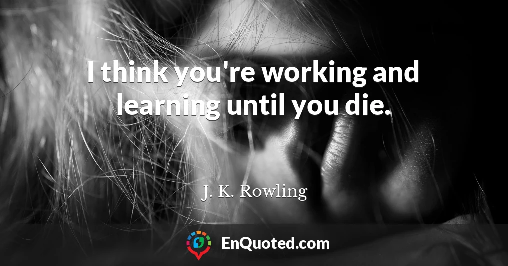 I think you're working and learning until you die.