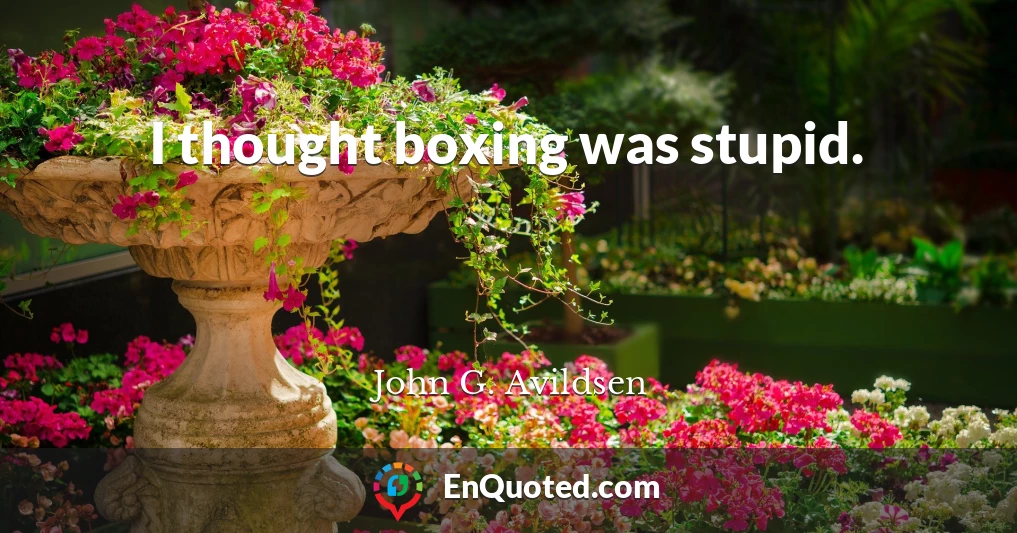 I thought boxing was stupid.