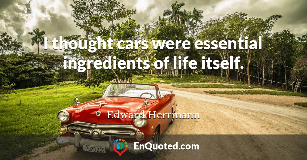I thought cars were essential ingredients of life itself.