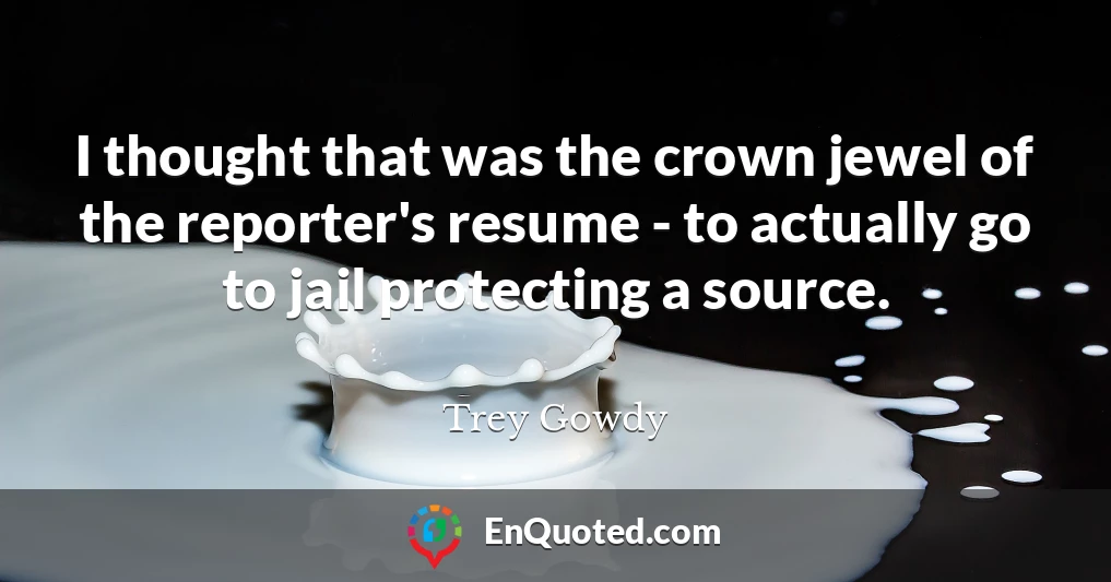 I thought that was the crown jewel of the reporter's resume - to actually go to jail protecting a source.