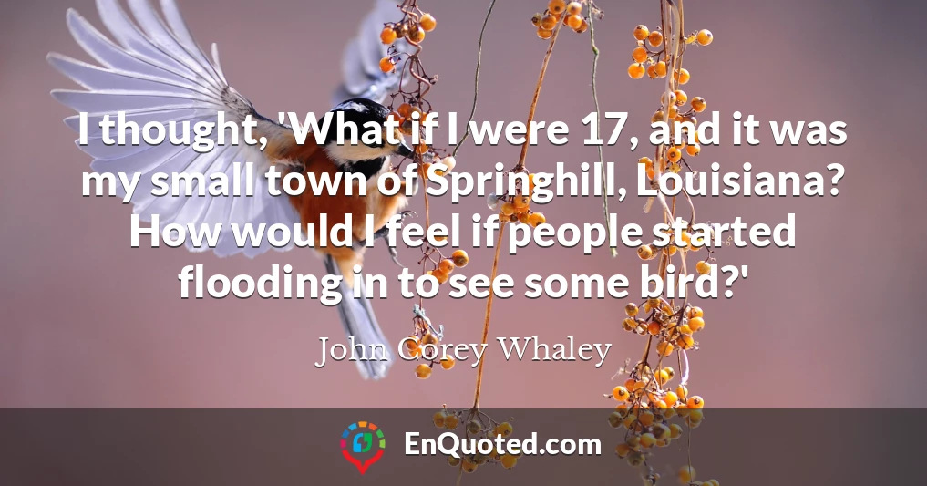 I thought, 'What if I were 17, and it was my small town of Springhill, Louisiana? How would I feel if people started flooding in to see some bird?'