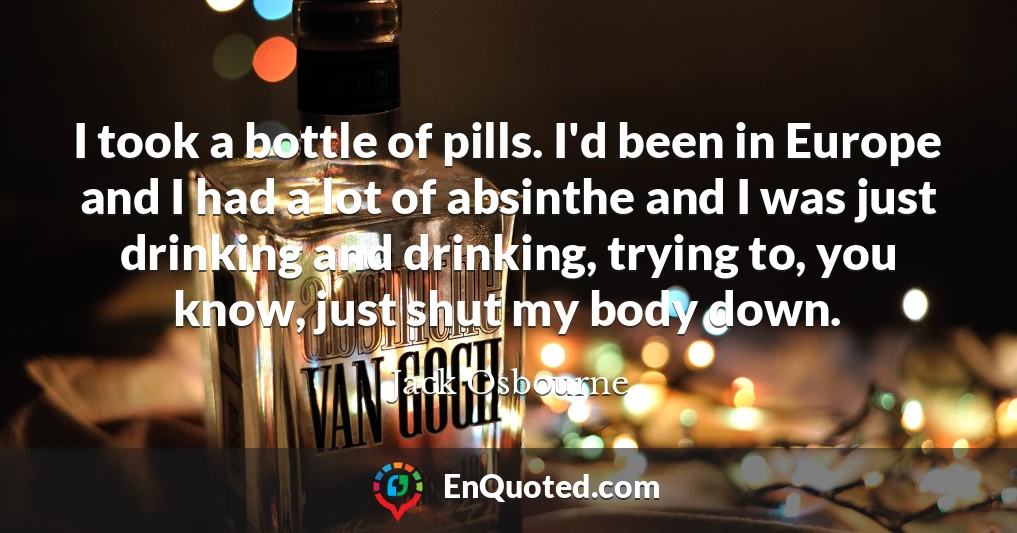 I took a bottle of pills. I'd been in Europe and I had a lot of absinthe and I was just drinking and drinking, trying to, you know, just shut my body down.