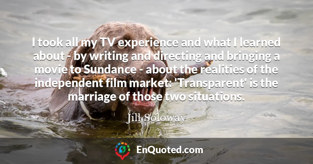 I took all my TV experience and what I learned about - by writing and directing and bringing a movie to Sundance - about the realities of the independent film market: 'Transparent' is the marriage of those two situations.