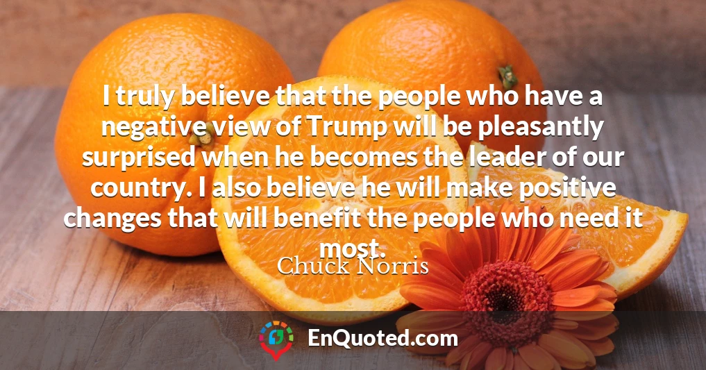 I truly believe that the people who have a negative view of Trump will be pleasantly surprised when he becomes the leader of our country. I also believe he will make positive changes that will benefit the people who need it most.