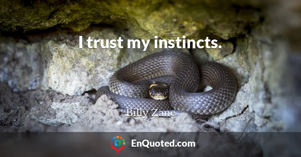 I trust my instincts.