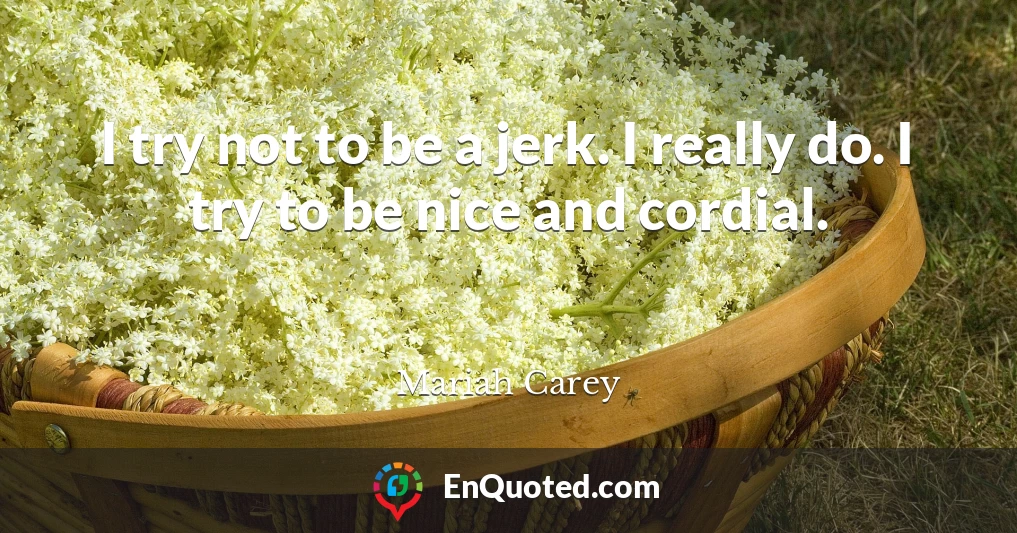 I try not to be a jerk. I really do. I try to be nice and cordial.
