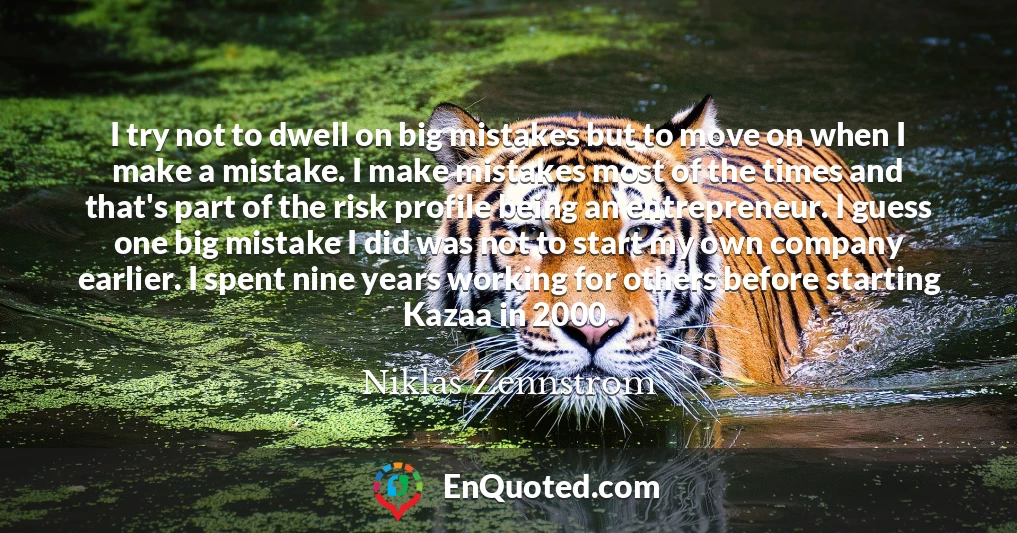 I try not to dwell on big mistakes but to move on when I make a mistake. I make mistakes most of the times and that's part of the risk profile being an entrepreneur. I guess one big mistake I did was not to start my own company earlier. I spent nine years working for others before starting Kazaa in 2000.
