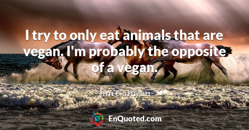 I try to only eat animals that are vegan. I'm probably the opposite of a vegan.