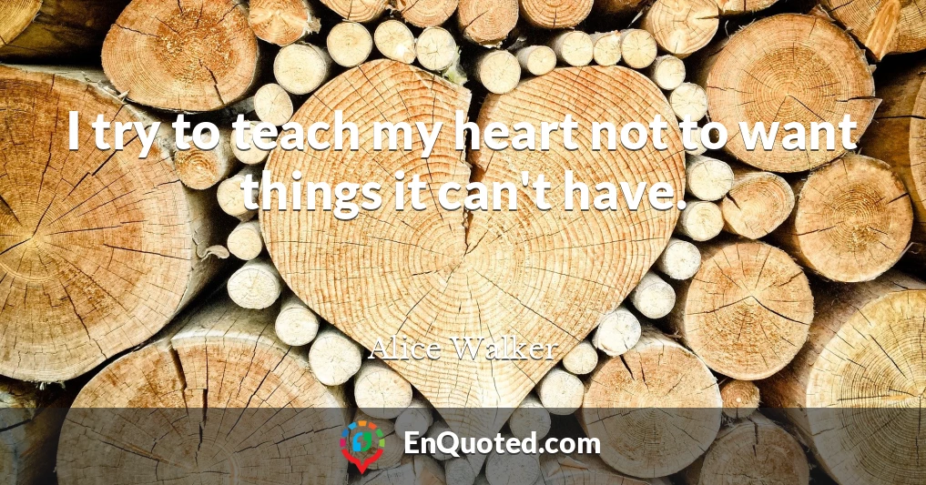 I try to teach my heart not to want things it can't have.
