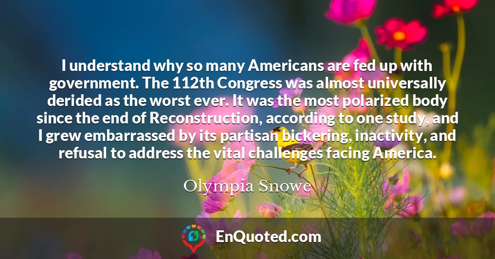 I understand why so many Americans are fed up with government. The 112th Congress was almost universally derided as the worst ever. It was the most polarized body since the end of Reconstruction, according to one study, and I grew embarrassed by its partisan bickering, inactivity, and refusal to address the vital challenges facing America.