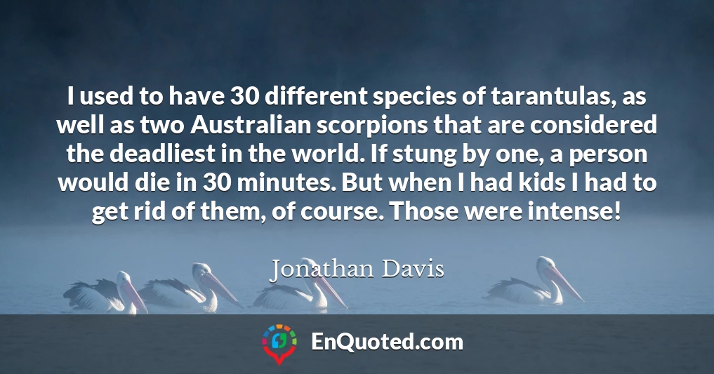 I used to have 30 different species of tarantulas, as well as two Australian scorpions that are considered the deadliest in the world. If stung by one, a person would die in 30 minutes. But when I had kids I had to get rid of them, of course. Those were intense!
