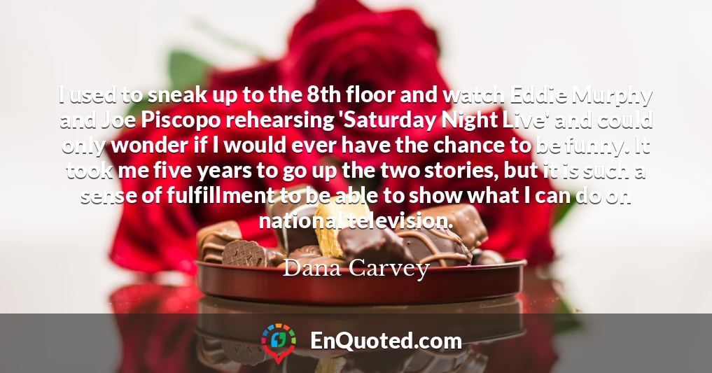 I used to sneak up to the 8th floor and watch Eddie Murphy and Joe Piscopo rehearsing 'Saturday Night Live' and could only wonder if I would ever have the chance to be funny. It took me five years to go up the two stories, but it is such a sense of fulfillment to be able to show what I can do on national television.