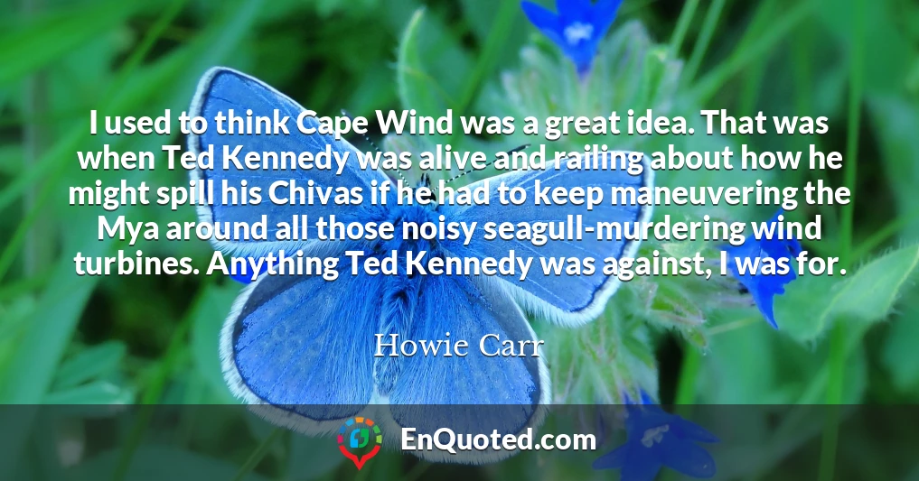 I used to think Cape Wind was a great idea. That was when Ted Kennedy was alive and railing about how he might spill his Chivas if he had to keep maneuvering the Mya around all those noisy seagull-murdering wind turbines. Anything Ted Kennedy was against, I was for.