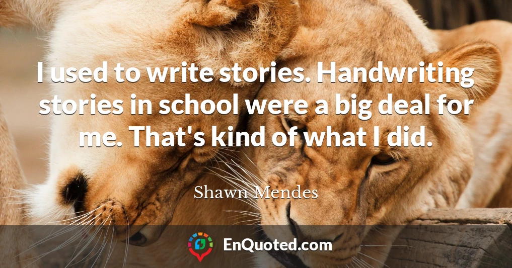 I used to write stories. Handwriting stories in school were a big deal for me. That's kind of what I did.