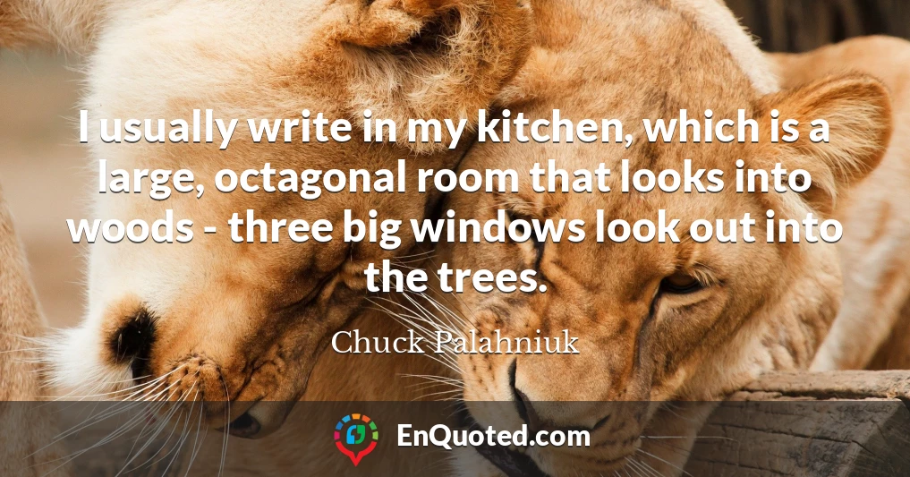 I usually write in my kitchen, which is a large, octagonal room that looks into woods - three big windows look out into the trees.