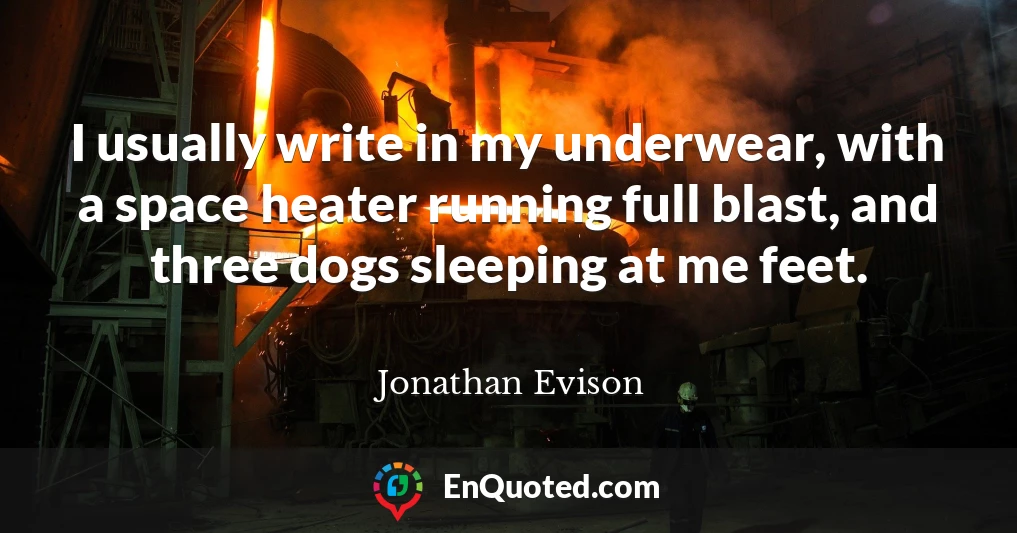 I usually write in my underwear, with a space heater running full blast, and three dogs sleeping at me feet.