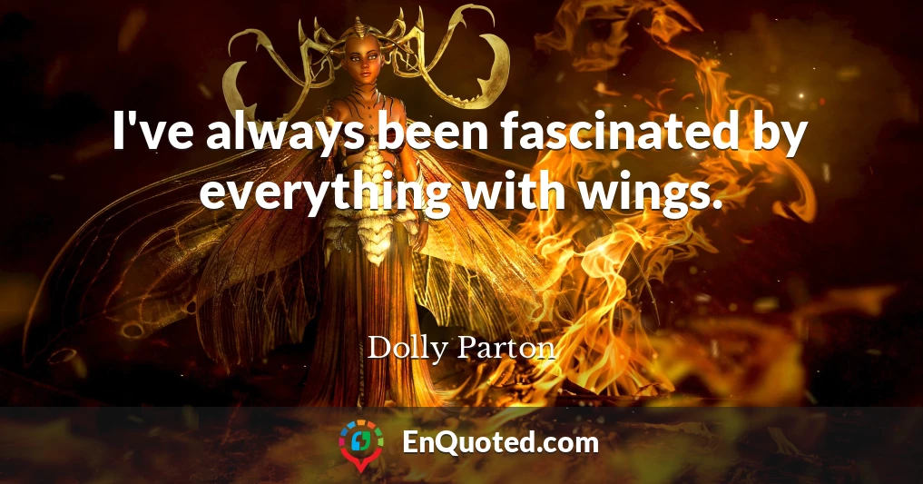 I've always been fascinated by everything with wings.