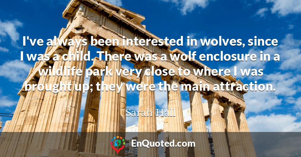 I've always been interested in wolves, since I was a child. There was a wolf enclosure in a wildlife park very close to where I was brought up; they were the main attraction.