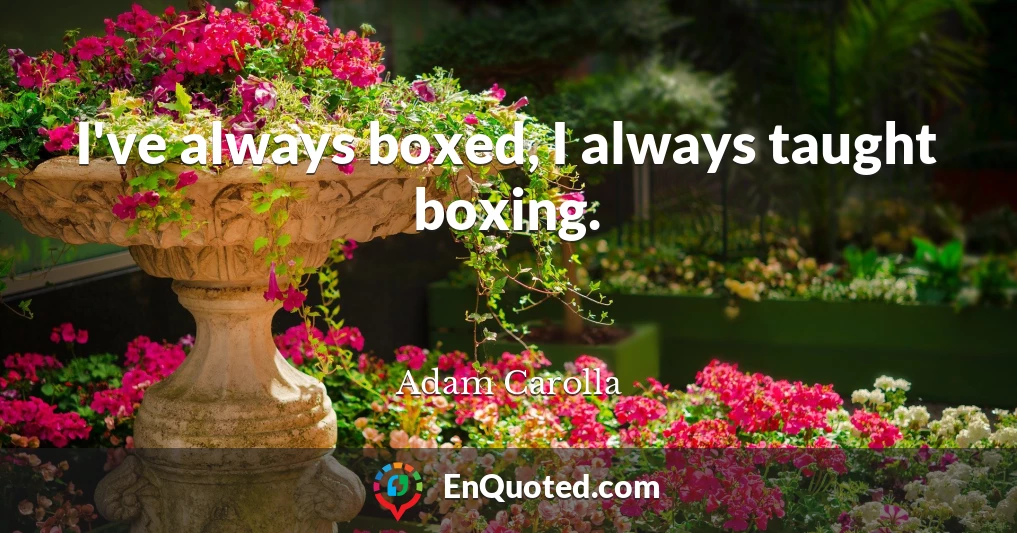 I've always boxed, I always taught boxing.