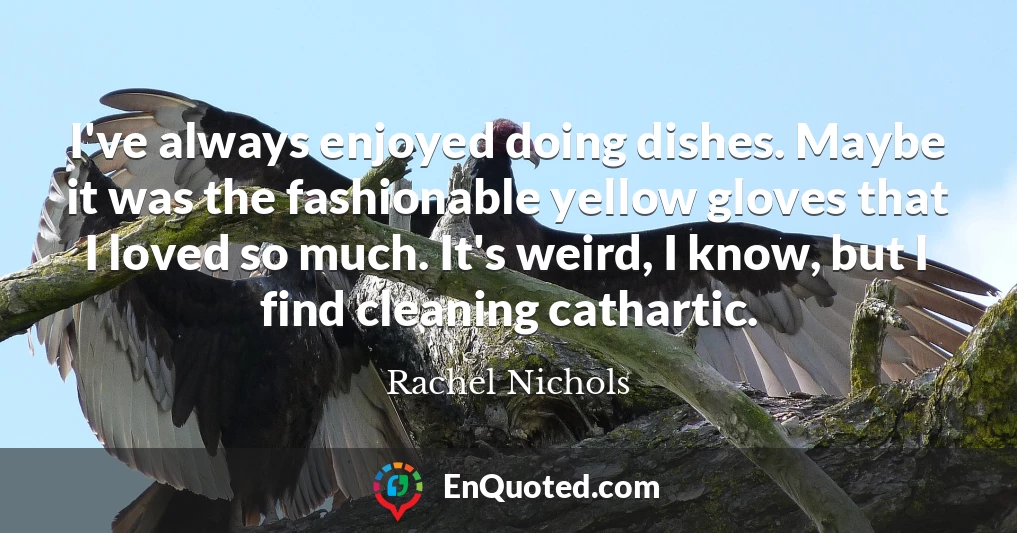 I've always enjoyed doing dishes. Maybe it was the fashionable yellow gloves that I loved so much. It's weird, I know, but I find cleaning cathartic.