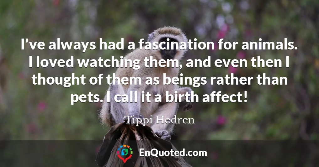 I've always had a fascination for animals. I loved watching them, and even then I thought of them as beings rather than pets. I call it a birth affect!