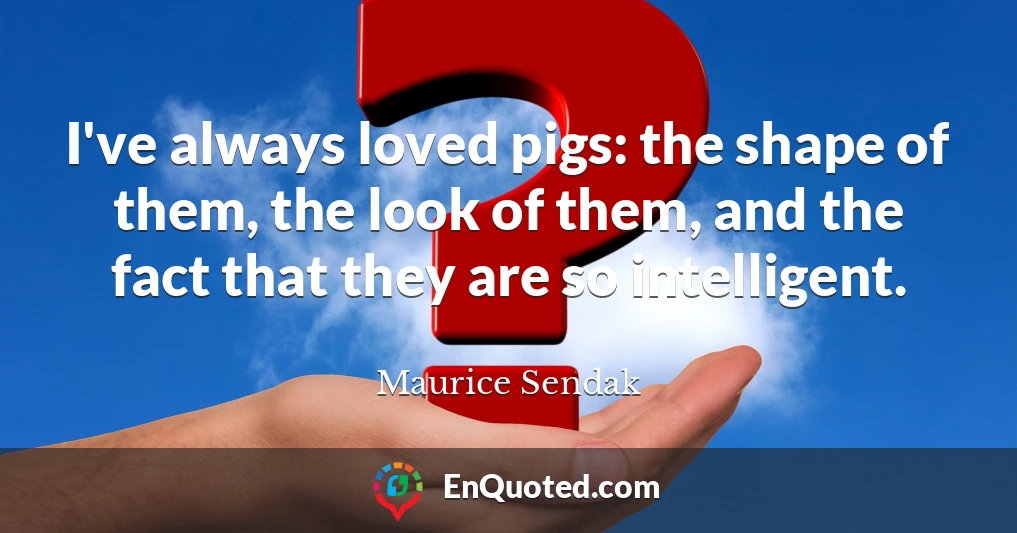I've always loved pigs: the shape of them, the look of them, and the fact that they are so intelligent.