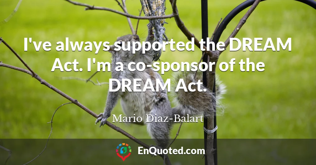 I've always supported the DREAM Act. I'm a co-sponsor of the DREAM Act.