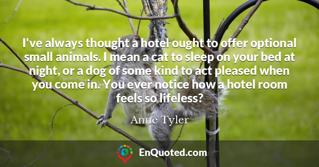 I've always thought a hotel ought to offer optional small animals. I mean a cat to sleep on your bed at night, or a dog of some kind to act pleased when you come in. You ever notice how a hotel room feels so lifeless?