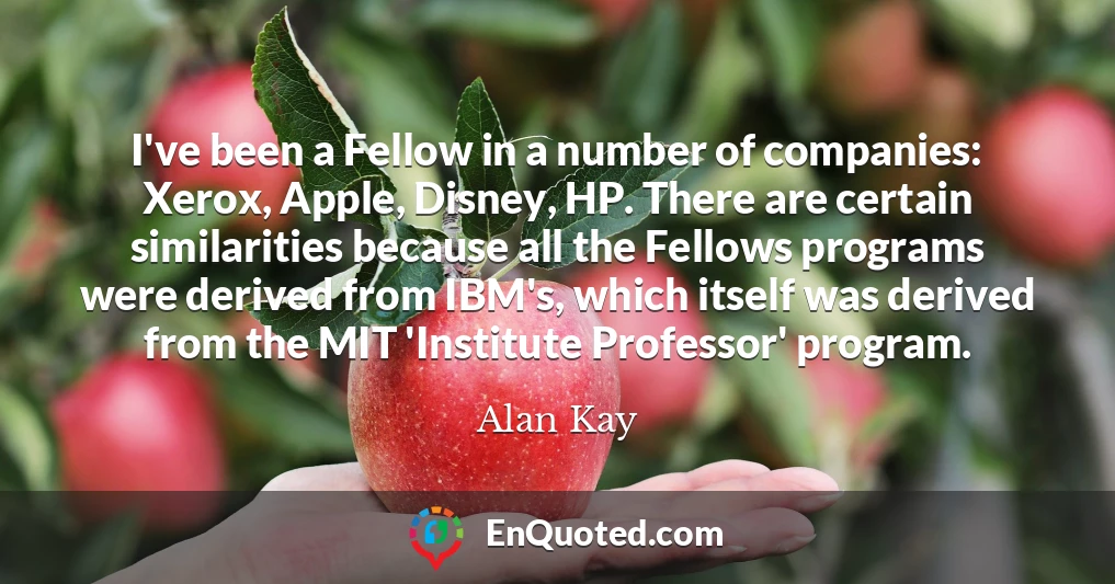 I've been a Fellow in a number of companies: Xerox, Apple, Disney, HP. There are certain similarities because all the Fellows programs were derived from IBM's, which itself was derived from the MIT 'Institute Professor' program.