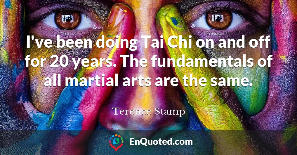 I've been doing Tai Chi on and off for 20 years. The fundamentals of all martial arts are the same.