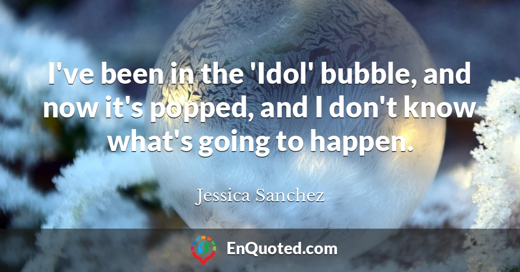 I've been in the 'Idol' bubble, and now it's popped, and I don't know what's going to happen.