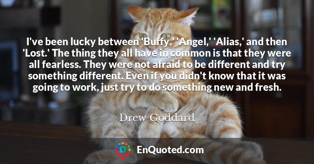 I've been lucky between 'Buffy,' 'Angel,' 'Alias,' and then 'Lost.' The thing they all have in common is that they were all fearless. They were not afraid to be different and try something different. Even if you didn't know that it was going to work, just try to do something new and fresh.