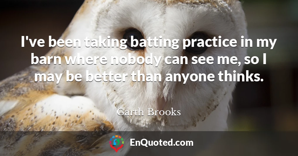 I've been taking batting practice in my barn where nobody can see me, so I may be better than anyone thinks.