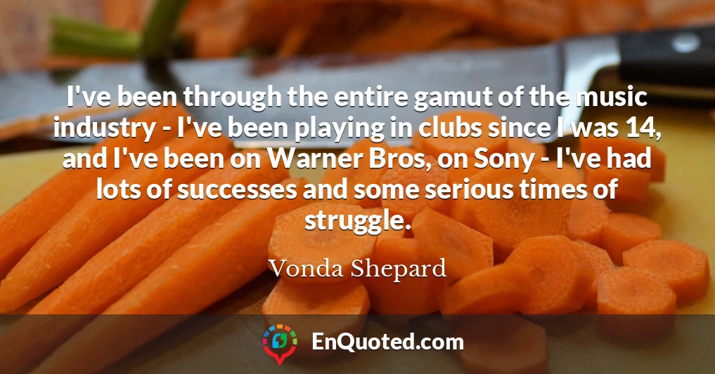 I've been through the entire gamut of the music industry - I've been playing in clubs since I was 14, and I've been on Warner Bros, on Sony - I've had lots of successes and some serious times of struggle.