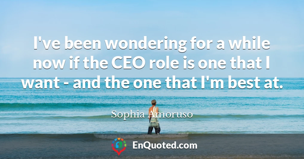 I've been wondering for a while now if the CEO role is one that I want - and the one that I'm best at.